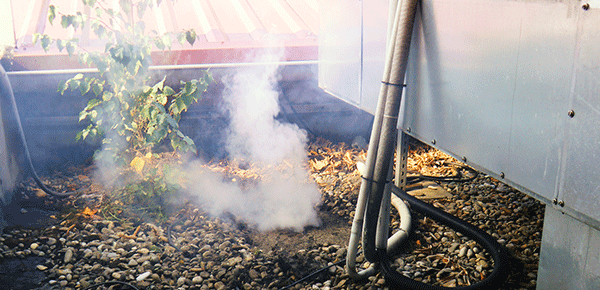 Rauchgasverfahren Flachdachleckortung